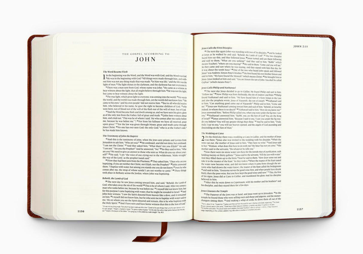 ESV Single Column Journaling Bible (TruTone, Chestnut, Leaves Design) (1018281426991)
