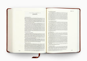ESV Single Column Journaling Bible (TruTone, Chestnut, Leaves Design) (1018281426991)