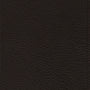 ESV Premium Thinline Bible (Goatskin, Black) cover image