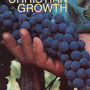 Healthy Christian Growth (Banner Booklet) Ferguson, Sinclair B. cover image