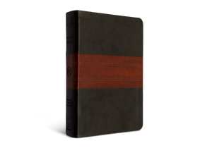 ESV Large Print Personal Size Bible (Trutone, Forest/Tan, Trail Design)