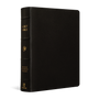 ESV Single Column Journaling Bible, Large Print (Buffalo Leather, Deep Brown)