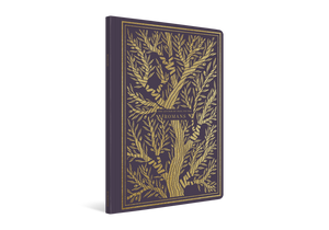 ESV Illuminated Scripture Journal: Romans (Paperback)