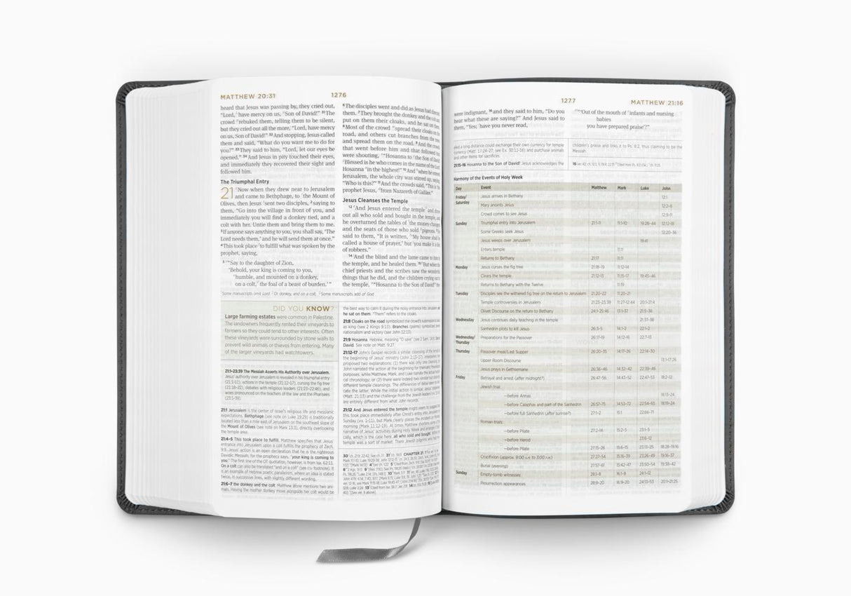 ESV Student Study Bible (TruTone, Gray)
