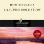 How to Lead a Lifeguide Bible Study Kuhatscheck, Jack 9780830830008