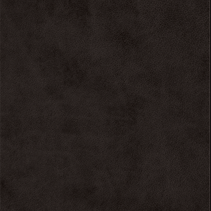 ESV Value Large Print Compact Bible