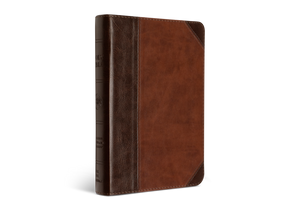 ESV Large Print Compact Bible (TruTone, Brown/Walnut, Portfolio Design)