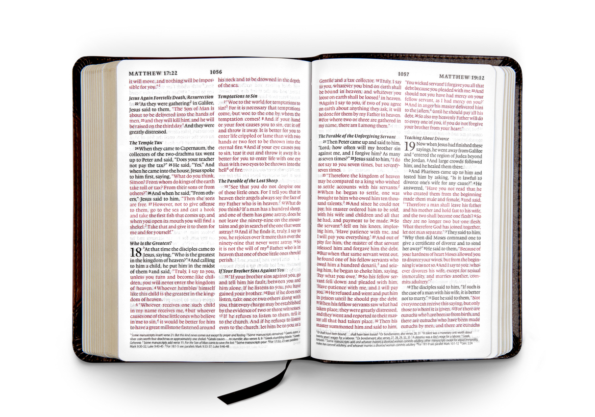 ESV Large Print Compact Bible (TruTone, Brown/Walnut, Portfolio Design)