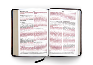 ESV Large Print Compact Bible (TruTone, Brown/Walnut, Portfolio Design)