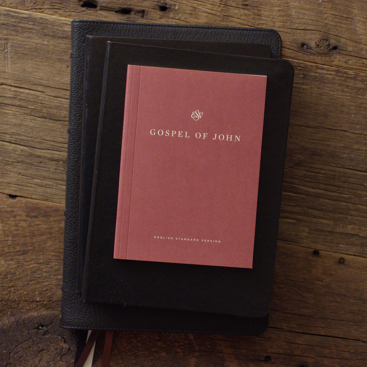 ESV Gospel of John, Share the Good News Edition