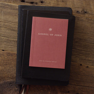 ESV Gospel of John, Share the Good News Edition