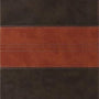 ESV Thinline Bible (TruTone, Forest/Tan, Trail Design) cover image