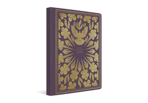 ESV Illuminated Scripture Journal: Acts (Paperback)