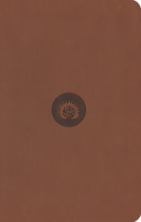 ESV Reformation Study Bible, Student Edition - Brown, Leather-Like - Sproul, R.C. (editor) - 9781642893502