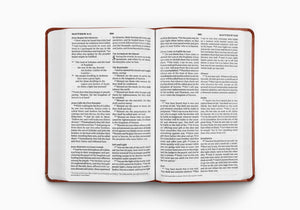 ESV Large Print Value Thinline Bible (TruTone, Tan, Ornament Design) (1023786811439)