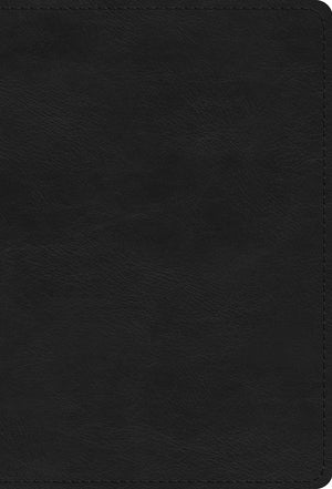 ESV Large Print Compact Bible (Trutone, Black) - ESV - 9781433582455