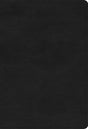 ESV Large Print Compact Bible (Trutone, Black) - ESV - 9781433582455