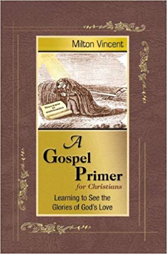 A Gospel Primer for Christians: Learning to See the Glories of God's Love (Booklet) cover image