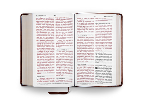 ESV Large Print Personal Size Bible (TruTone, Chestnut)
