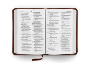 ESV Compact Bible (TruTone, Brown)