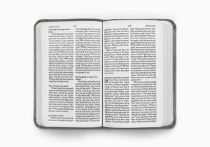 ESV Vest Pocket New Testament with Psalms and Proverbs (TruTone, Silver Sword) (1023801753647)