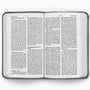 ESV Vest Pocket New Testament with Psalms and Proverbs (TruTone, Silver Sword) (1023801753647)