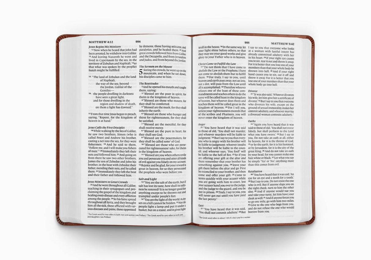 ESV Large Print Value Thinline Bible (TruTone, Chestnut) (1023787499567)