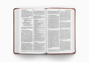 ESV Large Print Value Thinline Bible (TruTone, Chestnut) (1023787499567)