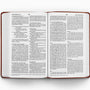 ESV Large Print Value Thinline Bible (TruTone, Chestnut) (1023787499567)