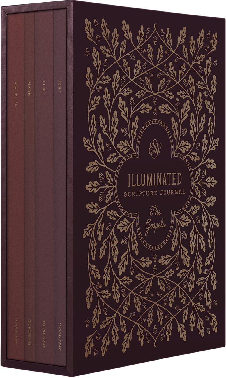 ESV Illuminated Scripture Journal: Gospels Set - ESV - 9781433570889