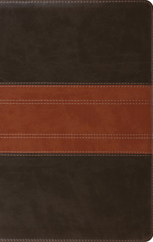 ESV Large Print Personal Size Bible (Trutone, Forest/Tan, Trail Design) - English Standard Version - 9781433568770