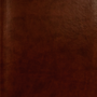 ESV New Testament with Psalms and Proverbs (Trutone, Chestnut) - ESV - 9781433587122
