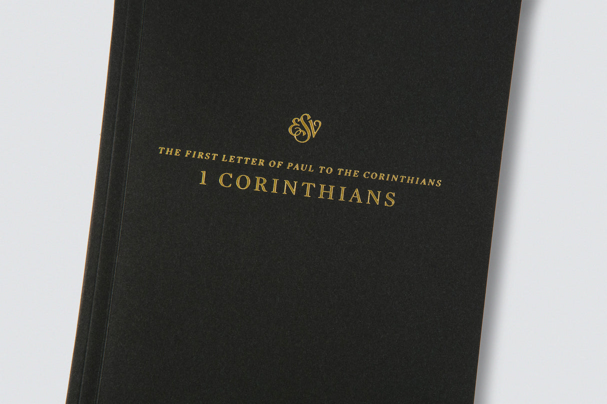 ESV Scripture Journal: New Testament Set (Paperback) (1018286932015)