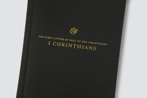 ESV Scripture Journal: New Testament Set (Paperback) (1018286932015)
