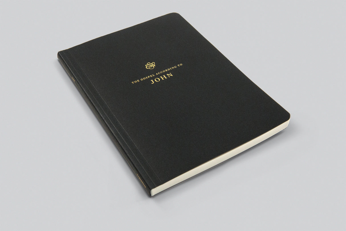 ESV Scripture Journal: New Testament Set (Paperback) (1018286932015)