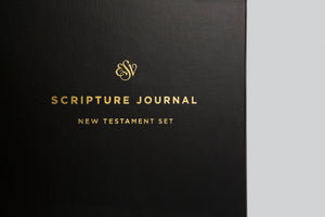 ESV Scripture Journal: New Testament Set (Paperback) (1018286932015)