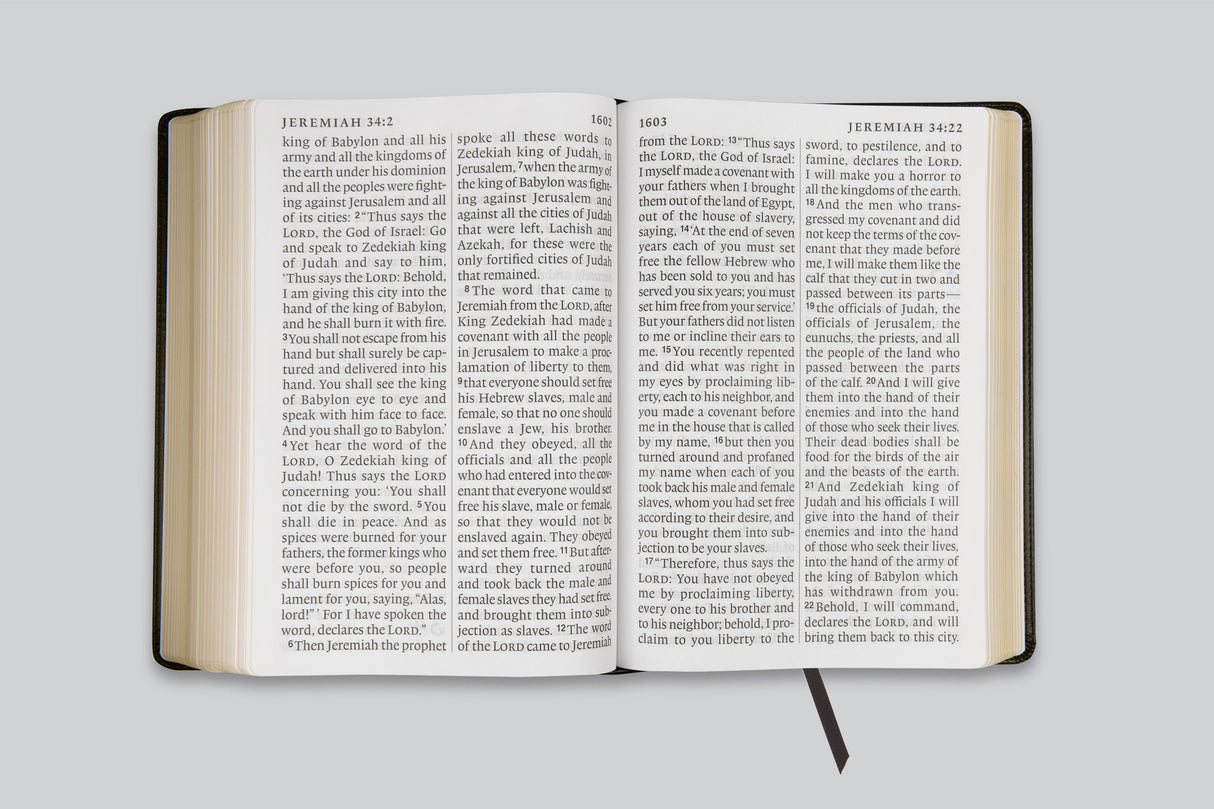 ESV Super Giant Print Bible (TruTone, Black)