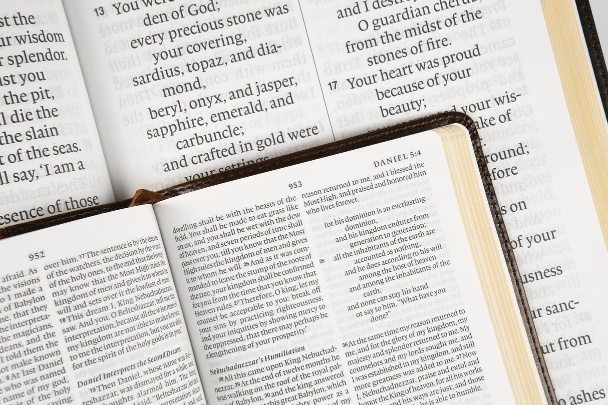 ESV Super Giant Print Bible (TruTone, Black)