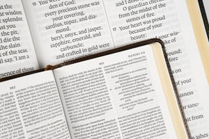 ESV Super Giant Print Bible (TruTone, Black)