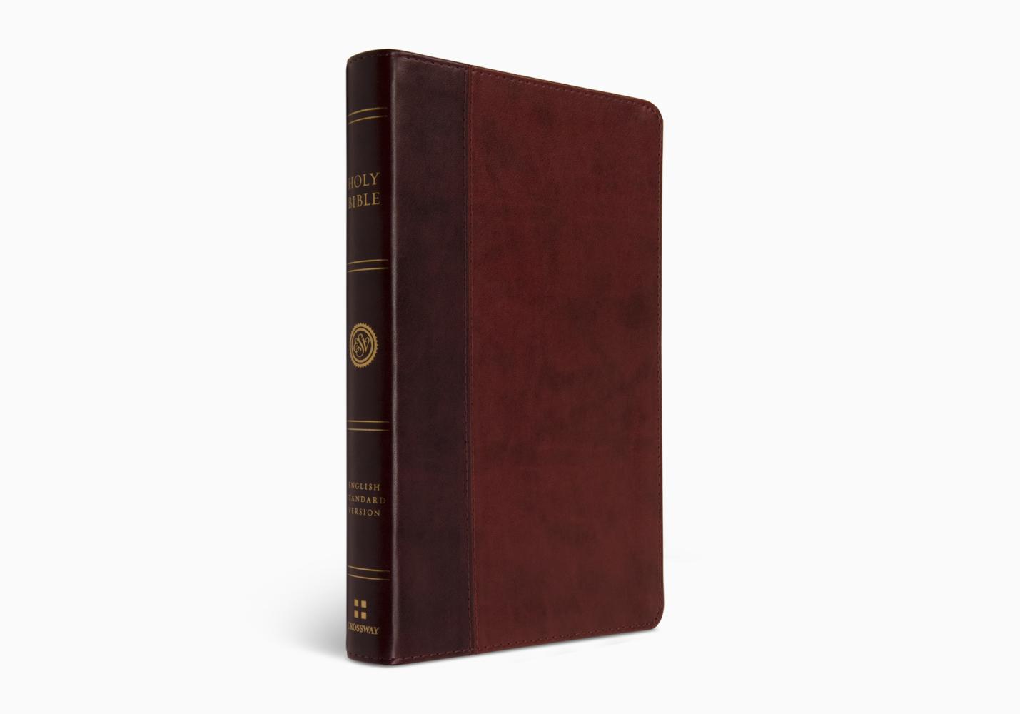 ESV Single Column Journaling Bible, Large Print (Trutone, Burgundy/Red, Timeless Design) [Book]