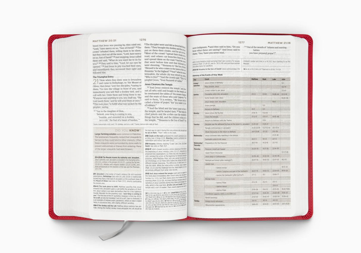 ESV Student Study Bible (Trutone, Berry, Floral Design)