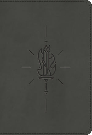 ESV Kid's Bible, Compact (TruTone, Sword of the Spirit)
