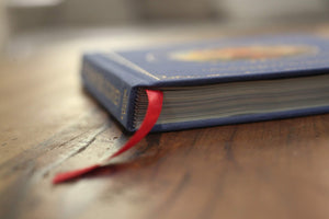 Little Pilgrim's Big Journey Part I: John Bunyan's Pilgrim's Progress Fully Illustrated & Adapted for the Next Generation