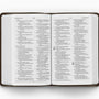 ESV Value Compact Bible (TruTone, Celtic Cross Design)