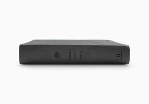 ESV Student Study Bible (TruTone, Gray)