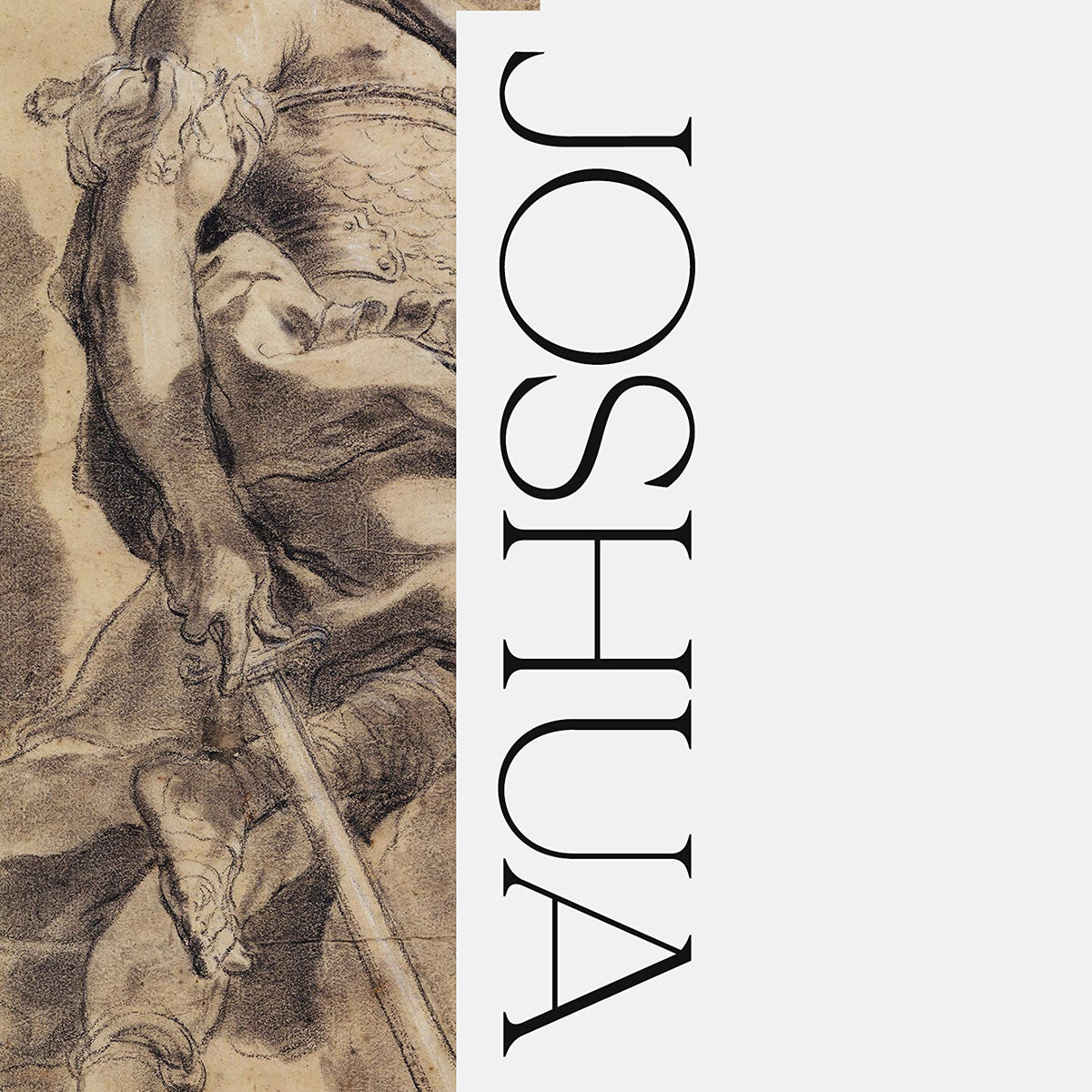 Joshua: Evangelical Biblical Theology Commentary (EBTC) - Firth, David ...