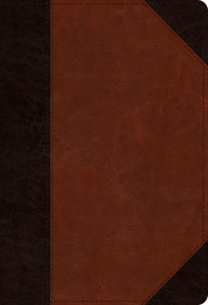 ESV Student Study Bible (Trutone, Brown/Cordovan, Portfolio Design) cover image