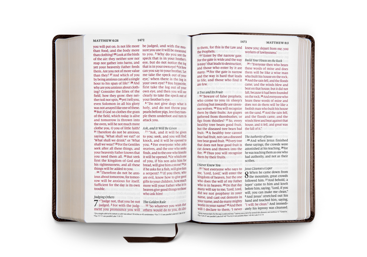 ESV Large Print Personal Size Bible (TruTone, Brown, Engraved Mantel Design)