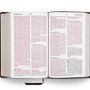 ESV Large Print Personal Size Bible (TruTone, Brown, Engraved Mantel Design)