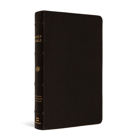 ESV Thinline Bible (Buffalo Leather, Deep Brown) - English Standard Version - 9781433570865